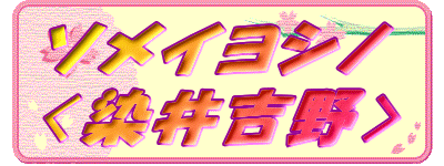 �\���C���V�m
�q����g��r