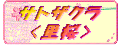 �T�g�U�N��
�q�����r