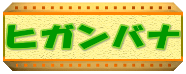 �q�K���o�i