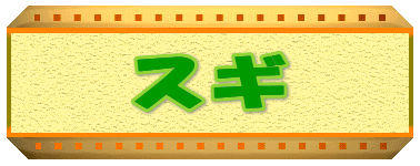 �X�M