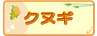 �N�k�M
