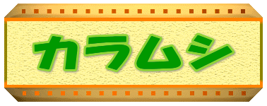 �J�����V