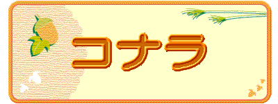 �R�i��