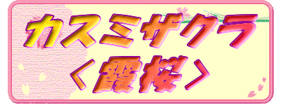 �J�X�~�U�N��
�q�����r
