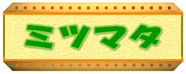 ミツマタ